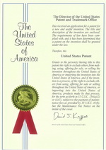 Патент ДАК США, страница1