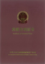 Патент Китая, обложка 1